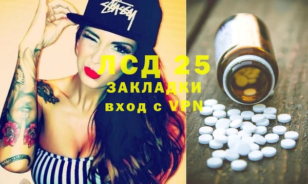 шишки Алзамай