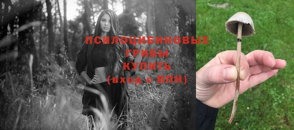 экстази Алексеевка