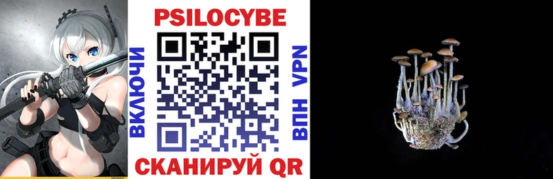 наркошоп  Сургут  Псилоцибиновые грибы Psilocybe 