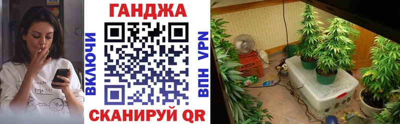 Каннабис гибрид  Сургут 